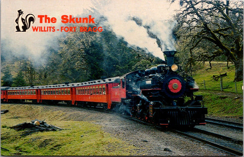 Train postcard - #X46 THE SUPER SKUNK railroad engine, cars - 2k1690