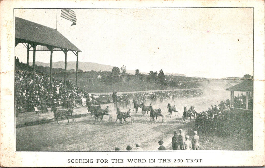 VT, NEW HAVEN - Addison County Fair - horse track - Digital Copy - A06790