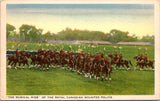 Military - Royal Canadian Mounted Police MUSICAL RIDE postcard -   A17196