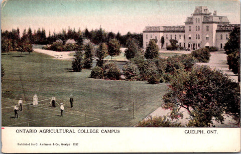 Canada - GUELPH, ON - Ag College Campus, playing tennis? postcard - DG0120