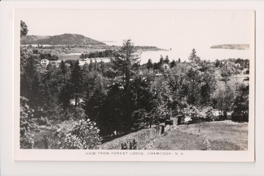 Canada - CHAMCOOK, NB - view from Forest Lodge RPPC - G06137