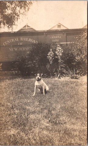 NJ, NEW JERSEY - CRR of NJ #34152 rail car, dog posing - RPPC - JJ0876