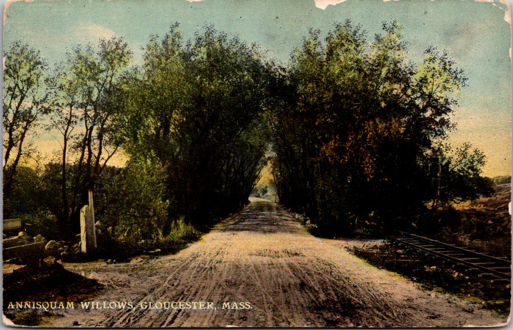 MA, GLOUCESTER - Annisquam Willow, dirt road, railroad tracks (original SOLD) sw0249