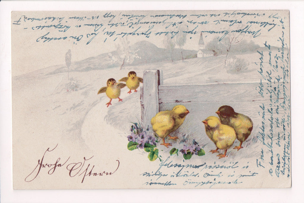 Easter postcard - chicks behind fence - couple running - 500703