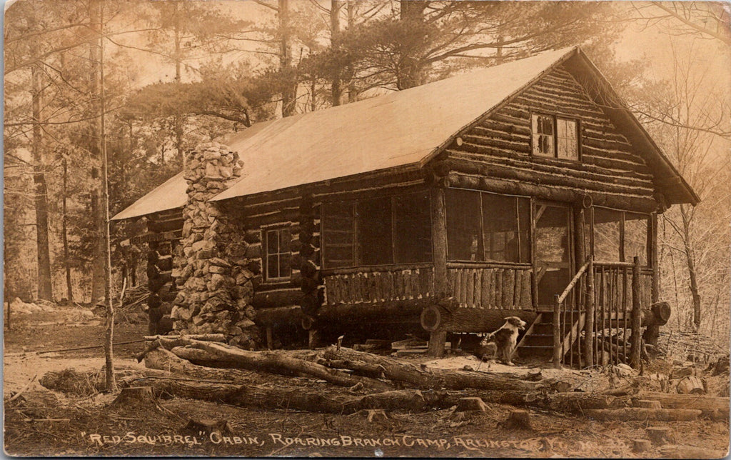 VT, ARLINGTON - ROARING BRANCH CAMP - Red Squirrel cabin (original SOLD) BP001