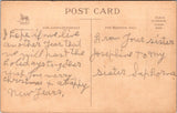 New Year - Wolf and Co postcard - Clapsaddle? - C08680