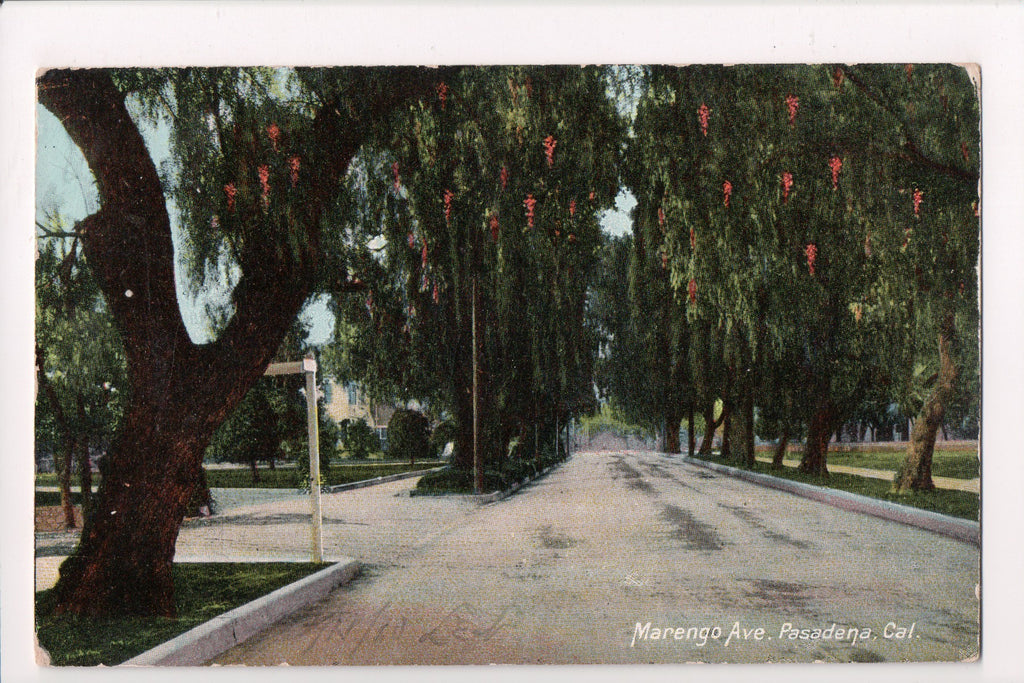 CA, PASADENA - Marengo Ave - @1910 Newman postcard - w01529