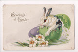 Easter - White and black rabbit in a green egg shell postcard - w02083