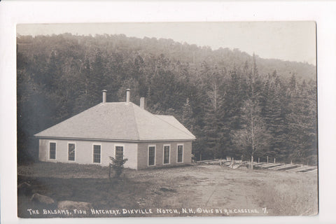 NH, DIXVILLE NOTCH - Balsams, Fish Hatchery - (original SOLD) - T00052