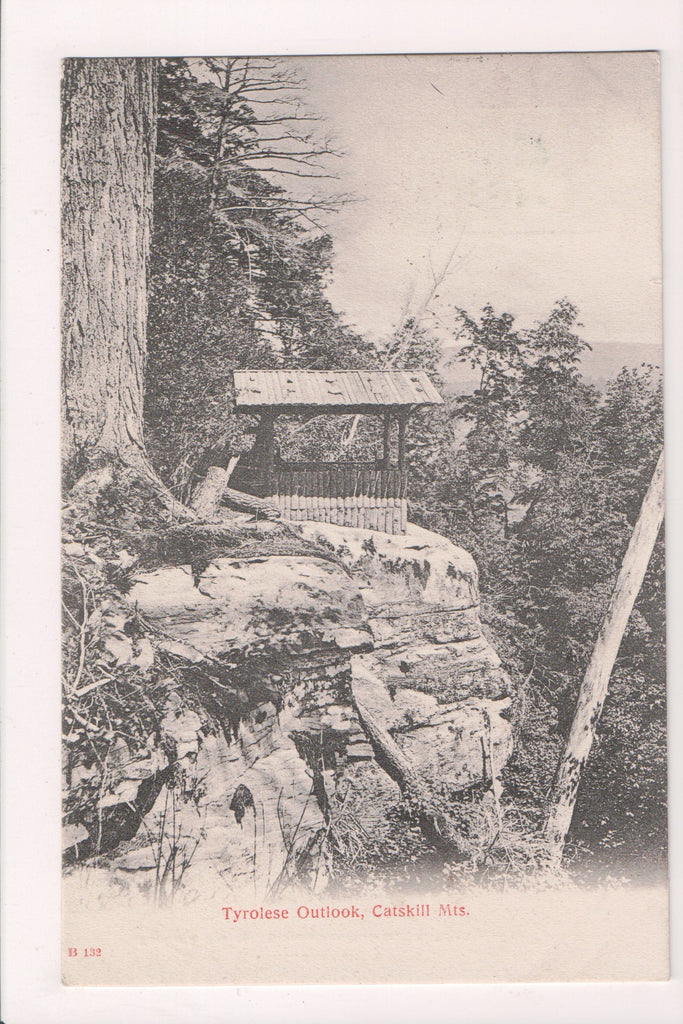 NY,  CATSKILL MOUNTAINS - Tyrolese Outlook closeup - NL0309