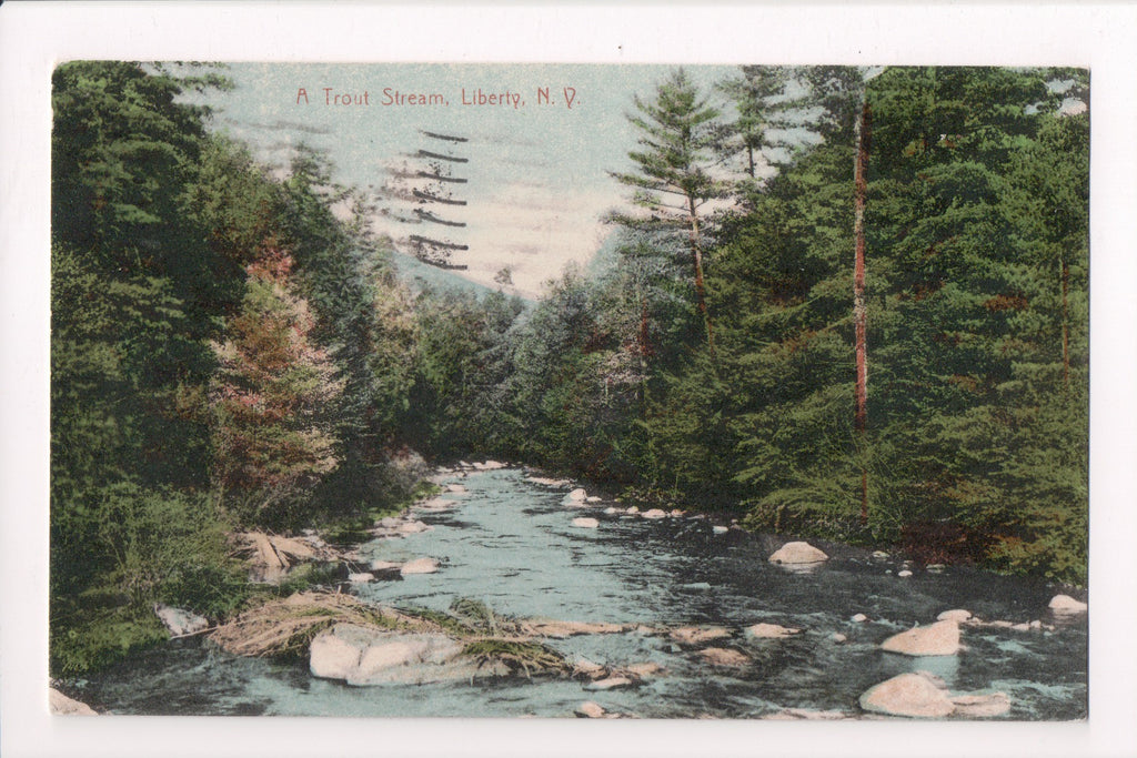 NY, LIBERTY - Trout Stream - @1913 postcard - B05066