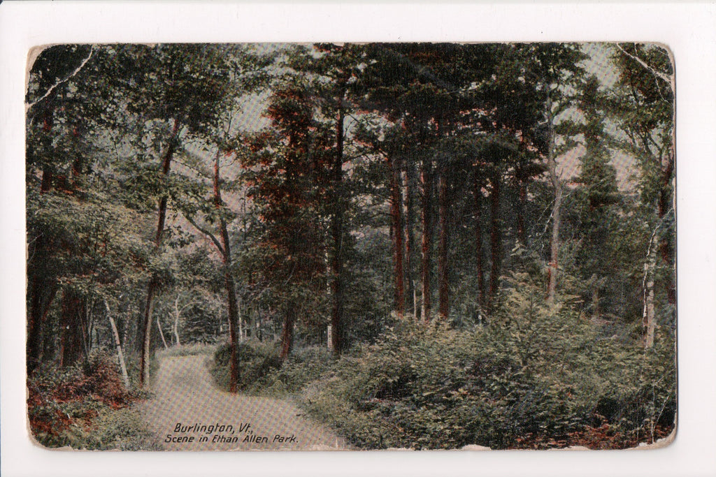 VT, BURLINGTON - Ethan Allen Park path - 500155 - postcard **DAMAGED / AS IS**